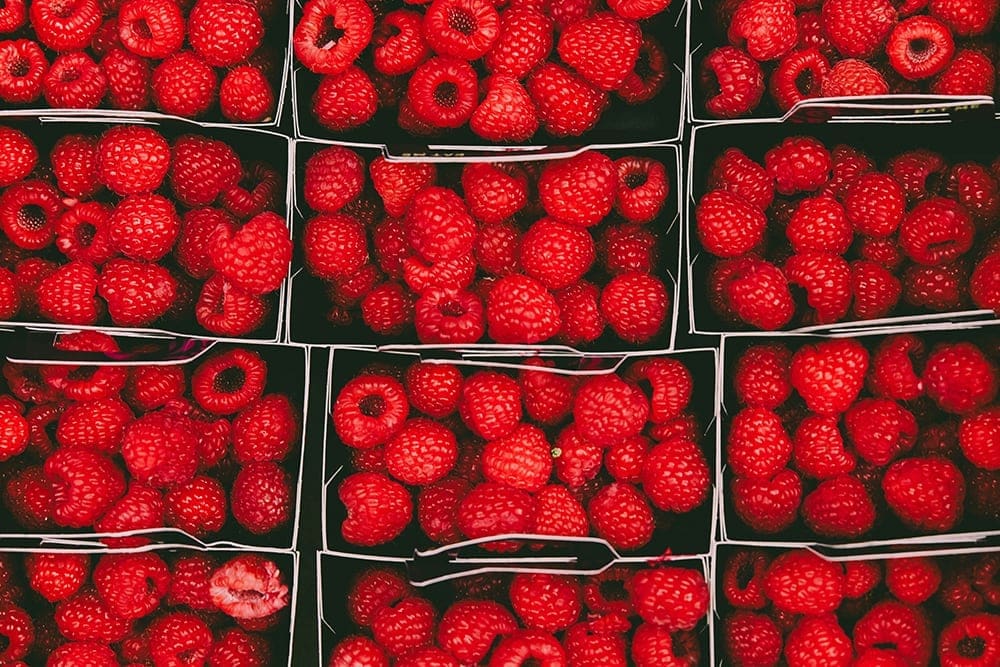 Punnets of fresh raspberries